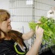 bunnybunh