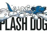 splashdogs