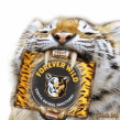 foreverwild tiger