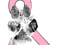 StymieCanineCancer