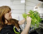 Bunny Bunch