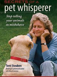 Terri Steuben