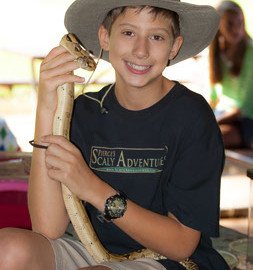pierce-and-goliath-in-park