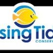 risingtide