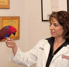 Dr Hess