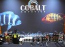 cobalt