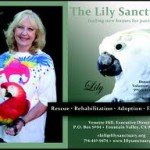 Pet World Insider Radio Interview – The…