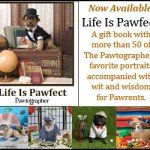 Pet World Insider Radio – The Pawtographer
