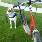 Pet World Insider Radio – Mark Schuette…