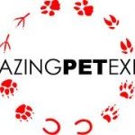 Pet World Insider Radio – Patti Welch…