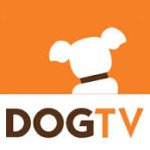 Pet World Insider Radio – Beke Lubeach…