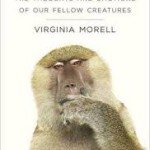 Pet World Insider Radio Segment – Virginia…