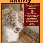 Pet World Insider Radio – Peggy Swager…