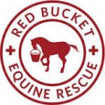 Pet World Insider Presents….The Red Bucket Equine…