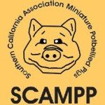 Pet World Insider Radio Segment – Geri…