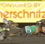 Pet World Insider Presents….The Weiner Dog Races….