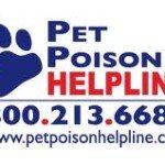 Pet World Insider Radio Segment – Dr&hellip;