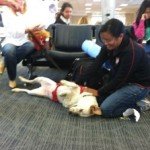 Pet World Insider Article – Kate Kelly’s…